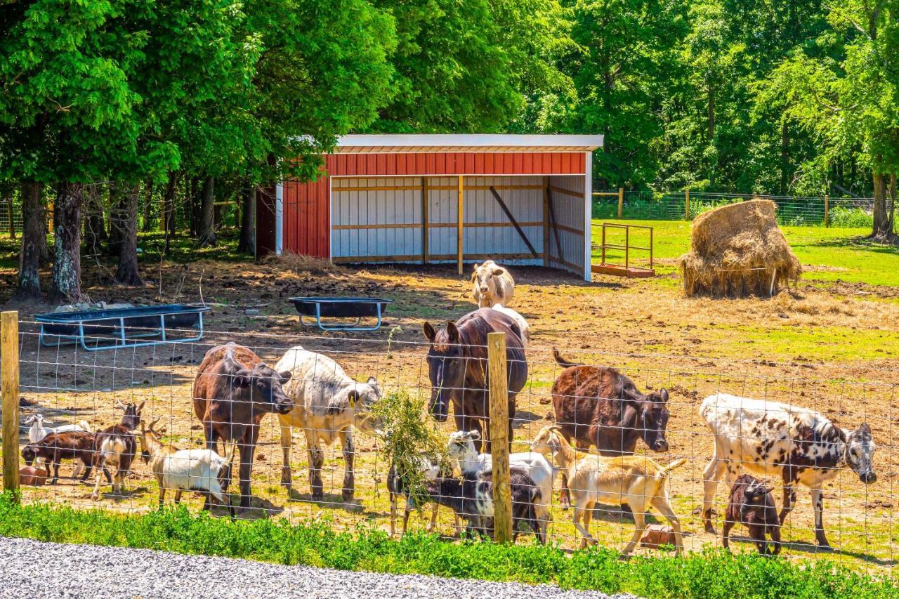 Brownsville Almost Heaven Farmers Paradise On 50 Acres!ヴィラ エクステリア 写真