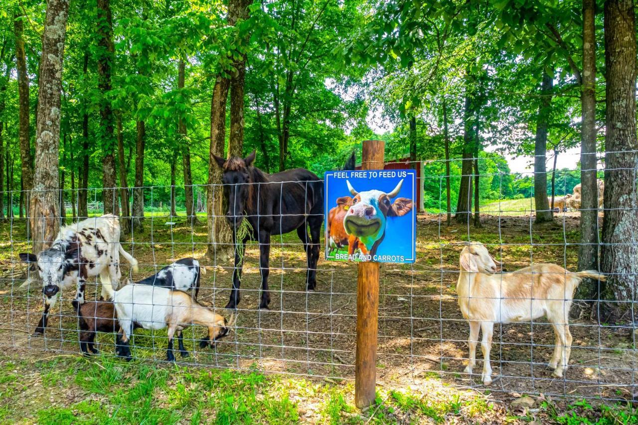 Brownsville Almost Heaven Farmers Paradise On 50 Acres!ヴィラ エクステリア 写真