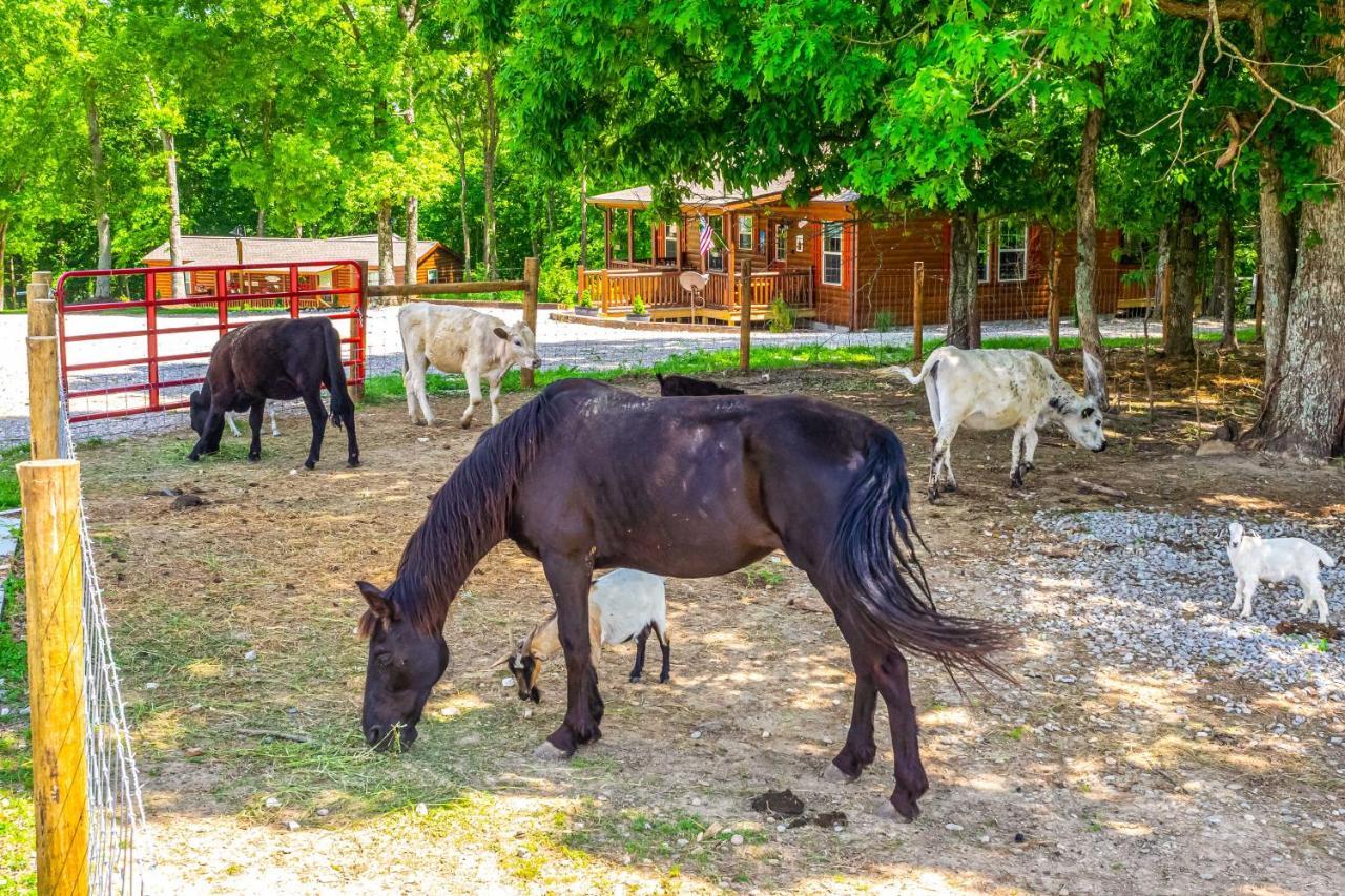 Brownsville Almost Heaven Farmers Paradise On 50 Acres!ヴィラ エクステリア 写真