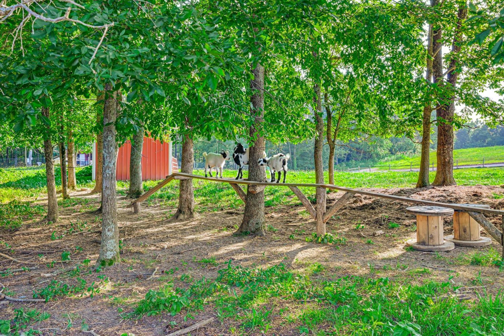 Brownsville Almost Heaven Farmers Paradise On 50 Acres!ヴィラ エクステリア 写真